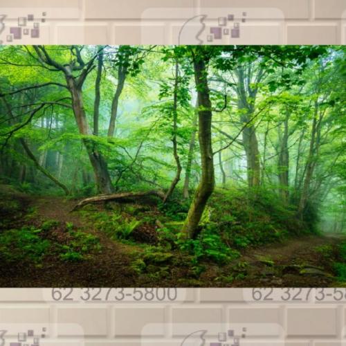 Painel Sublimado Floresta